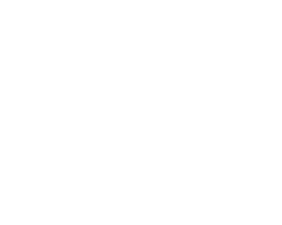 WILO SE